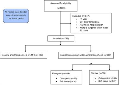 The impact of opioid administration on the incidence of postanaesthetic colic in horses